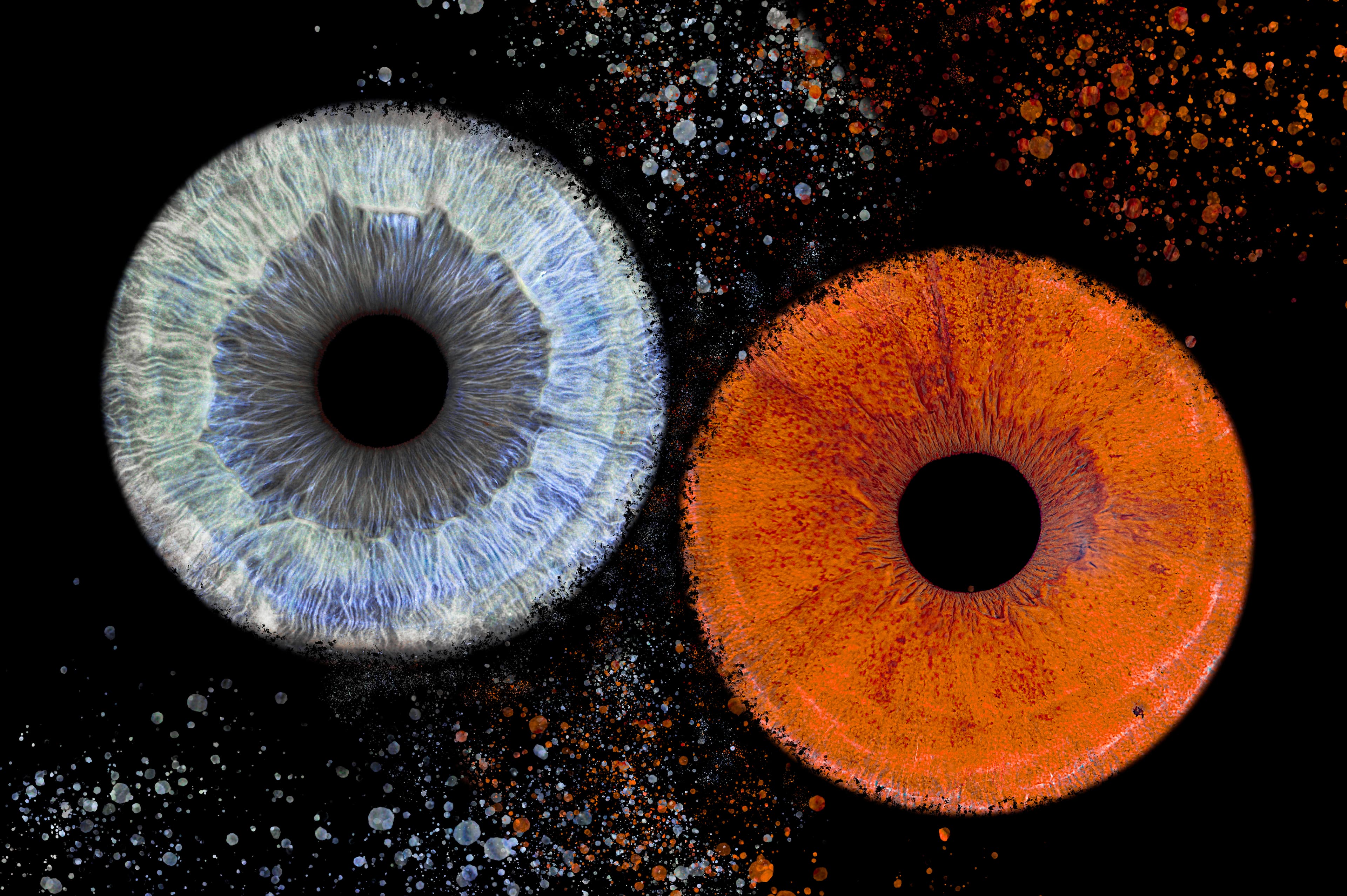 Photo iris duo avec effet diffusion stellaire