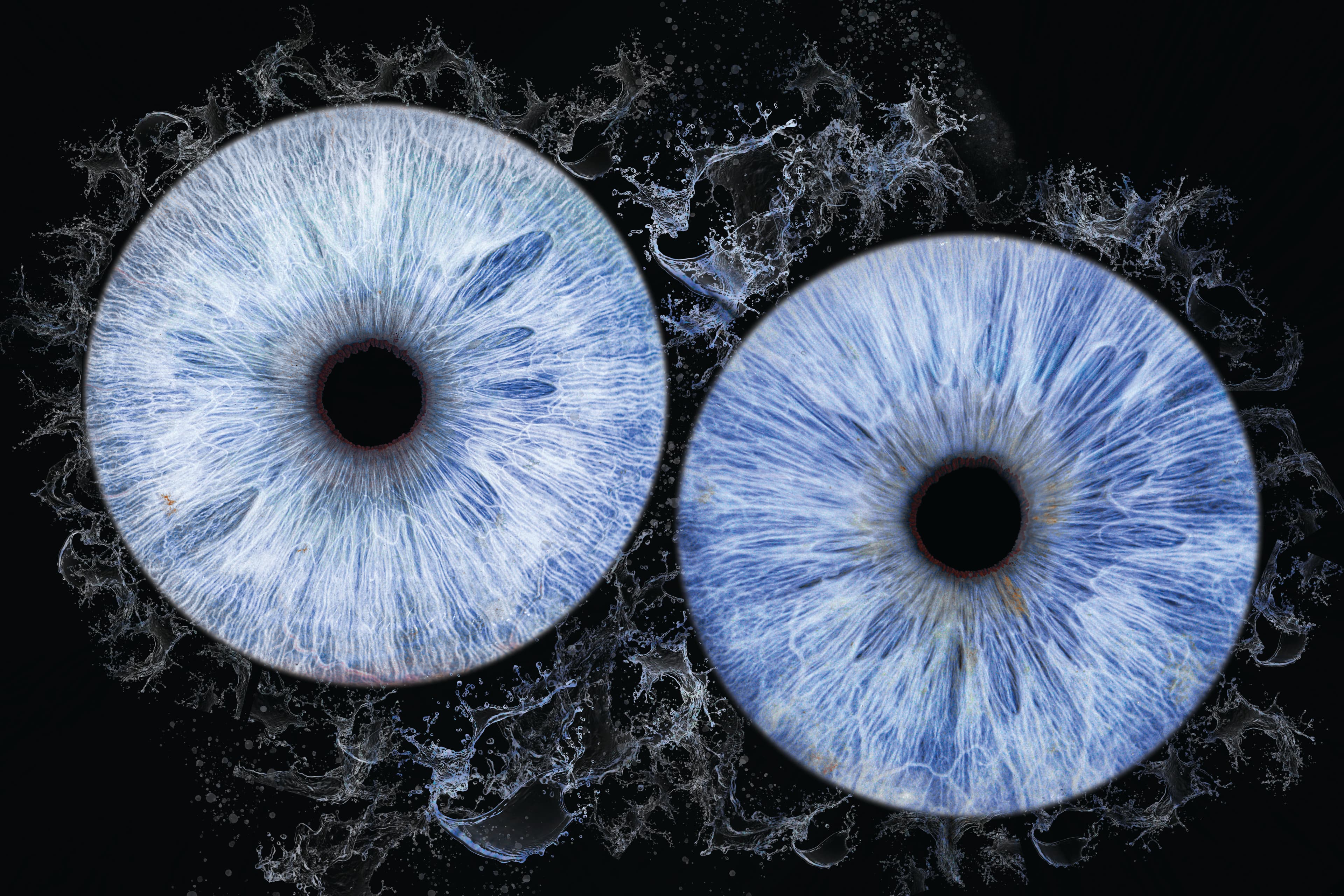 Photo iris duo avec effet splash