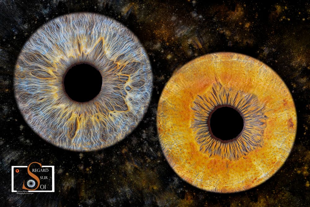 Photo iris duo avec effet nébuleuse