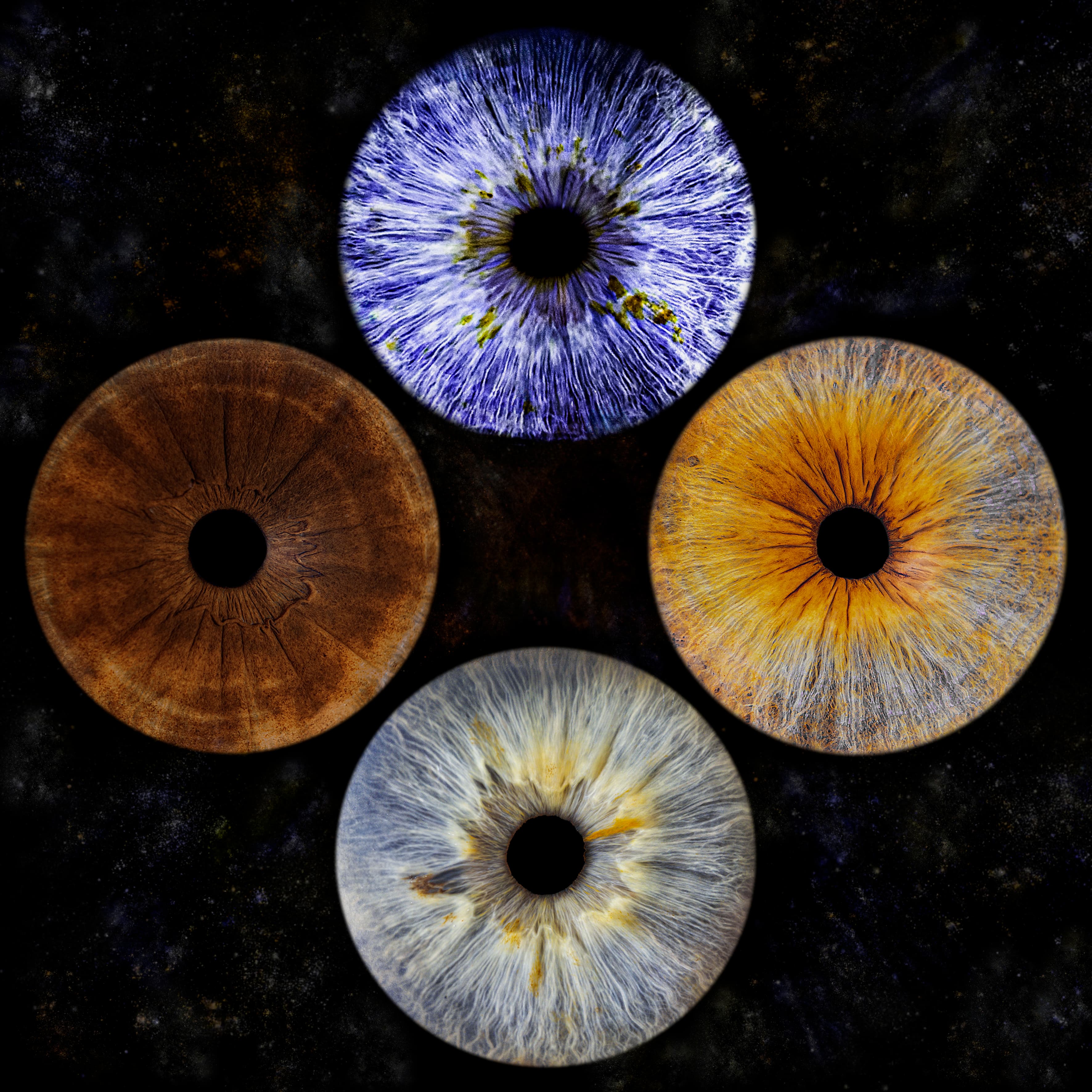 Photo iris quatuor avec effet nébuleuse