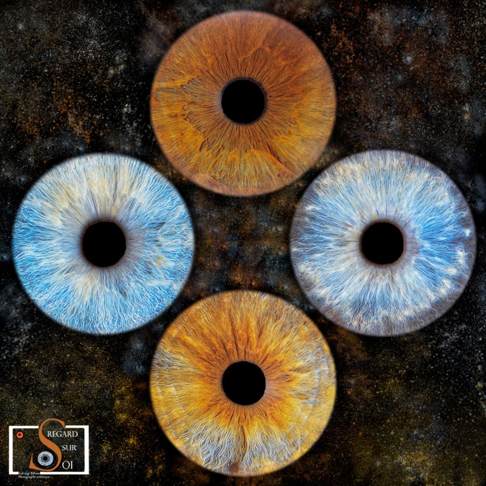 Photo iris quatuor tableau carré 40x40 avec effet nébuleuse