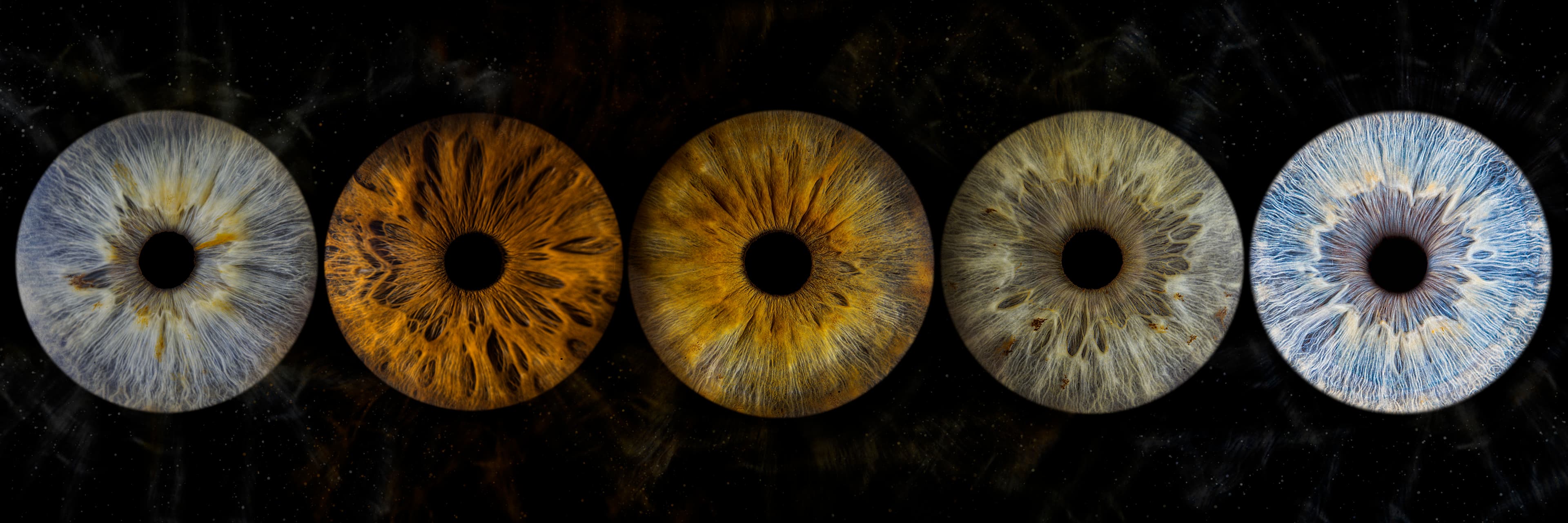 Photo iris quintuor avec effet nébuleuse