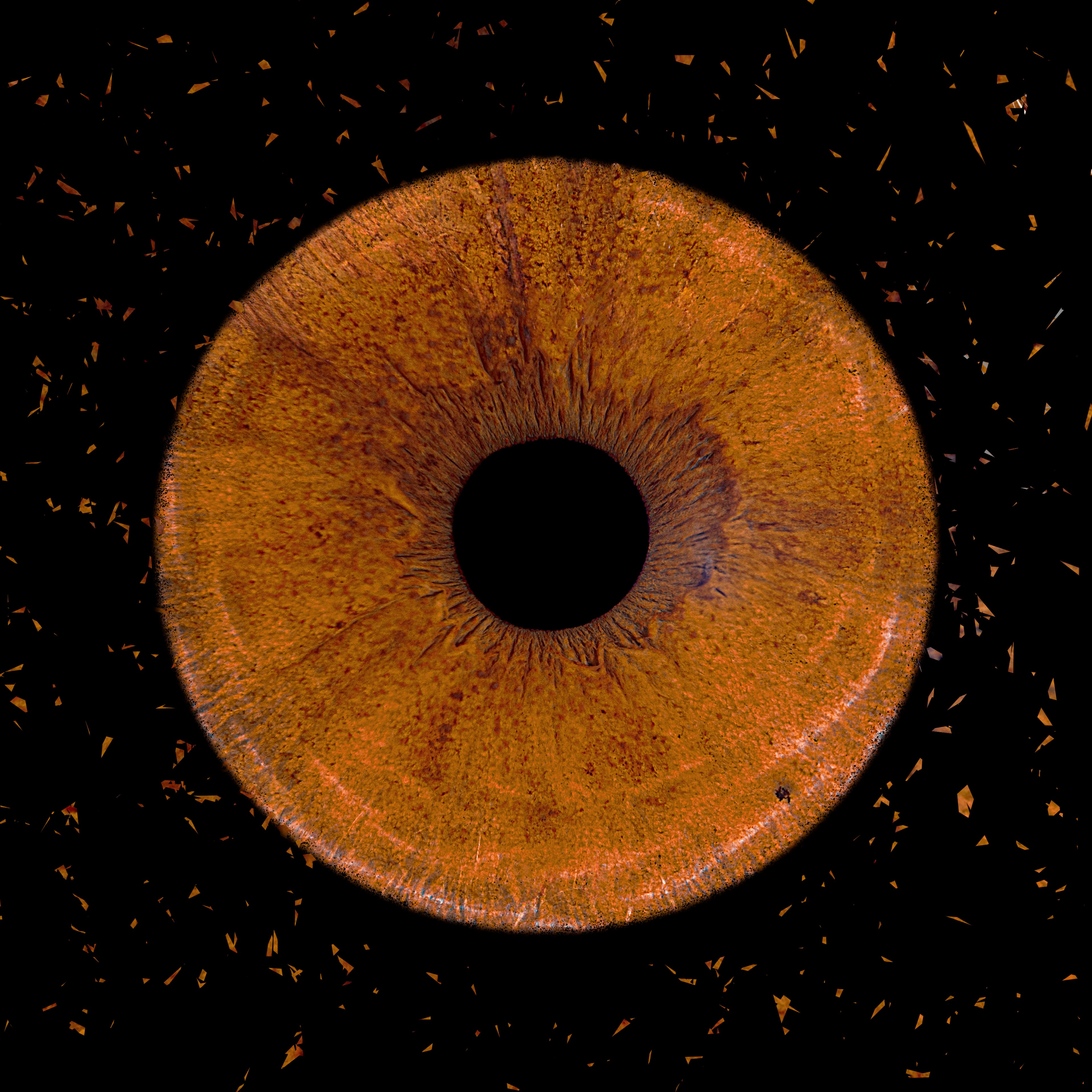 Photo iris solo avec effet paillettes