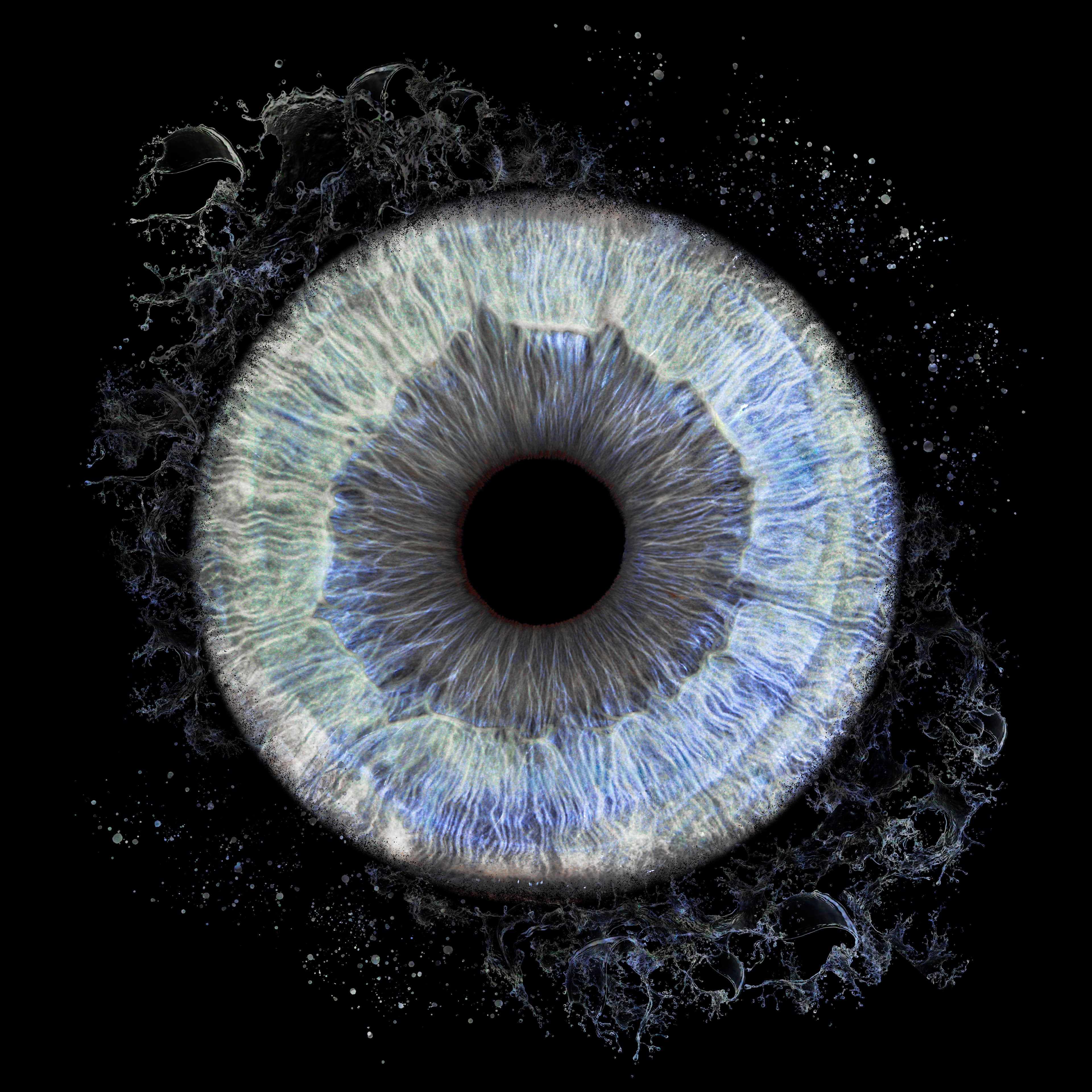 Photo iris solo avec effet splash