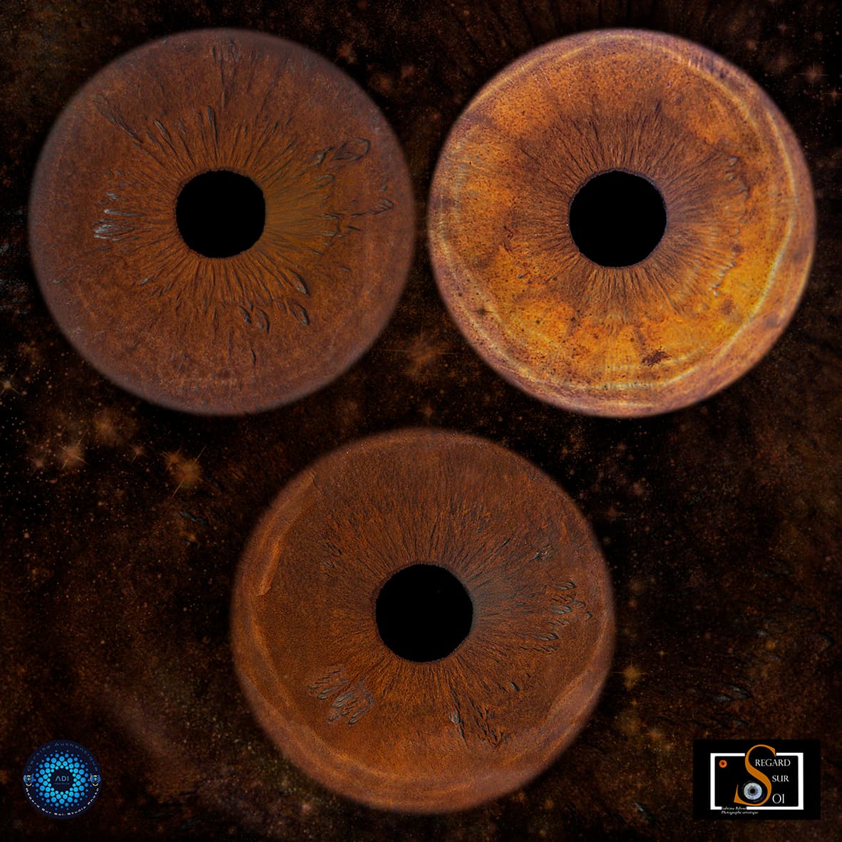 Photo iris trio sur tableau carré avec logos